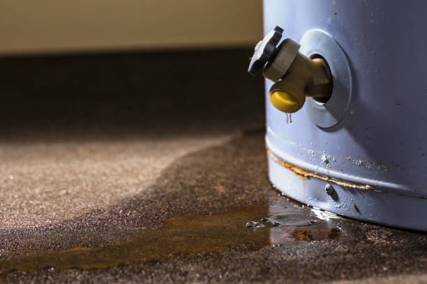 Water damage restoration experts in South St Paul, MN