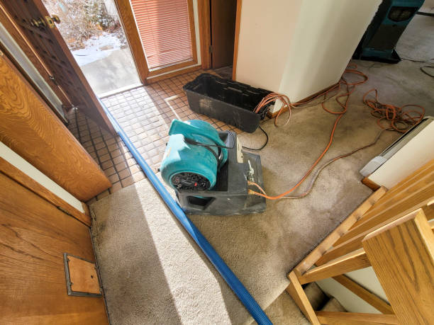 Best Fire Damage Restoration  in South St Paul, MN