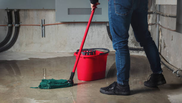 Best 24/7 water damage repair  in South St Paul, MN
