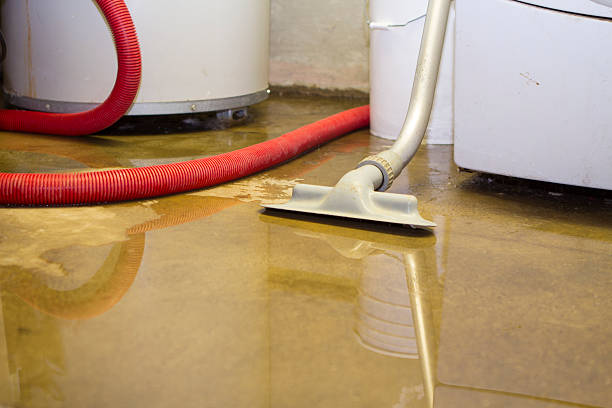Best Water damage cleanup near me  in South St Paul, MN
