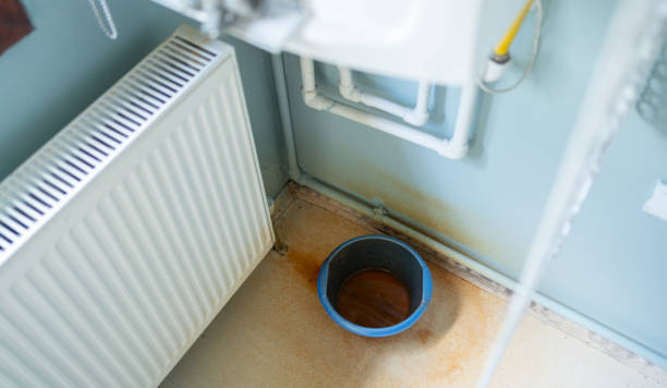 Best Local water damage restoration  in South St Paul, MN