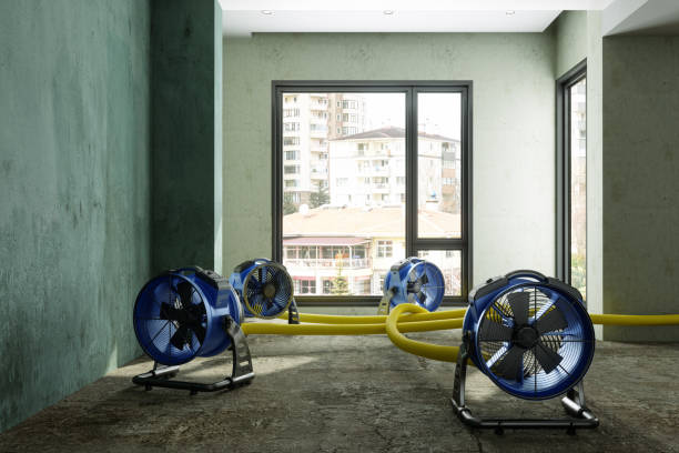 Best 24-hour water damage restoration  in South St Paul, MN