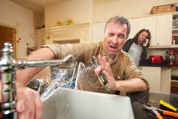 Best Mold removal after water damage  in South St Paul, MN